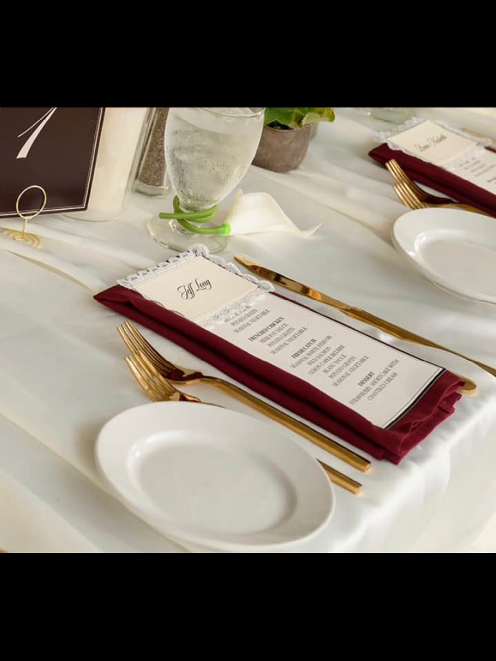 140 Elegant RedWine Colored Napkins for Wedding USED ONCE AND DRY CLEANED